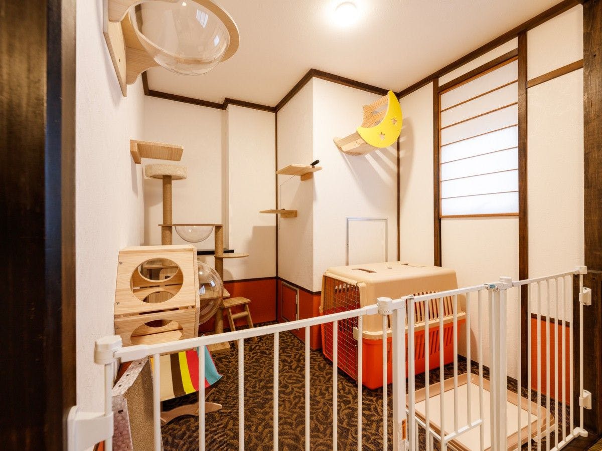 ห้องพักที่อนุญาตให้แมวเข้าพักได้ (ห้องเล่นสำหรับแมว)