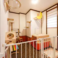 ห้องพักที่อนุญาตให้แมวเข้าพักได้ (ห้องเล่นสำหรับแมว)