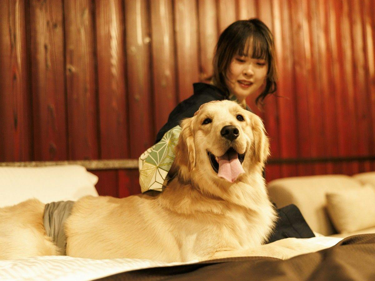 Authentic Inn for Stays with Your Beloved Dog - Awara Onsen Tsukika
