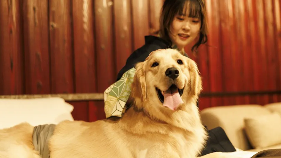 Authentic Inn for Stays with Your Beloved Dog - Awara Onsen Tsukika