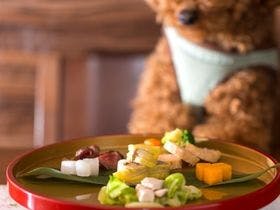 愛犬と過ごす本格旅館　月香