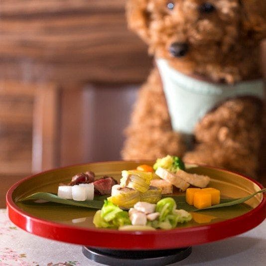 Authentic Inn for Stays with Your Beloved Dog - Awara Onsen Tsukika