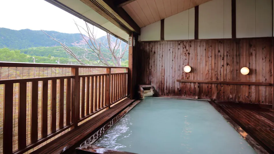 Zao Onsen Matsukane-ya Annex