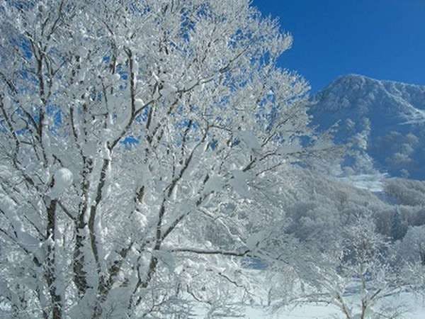 Zao Onsen Matsukane-ya Annex