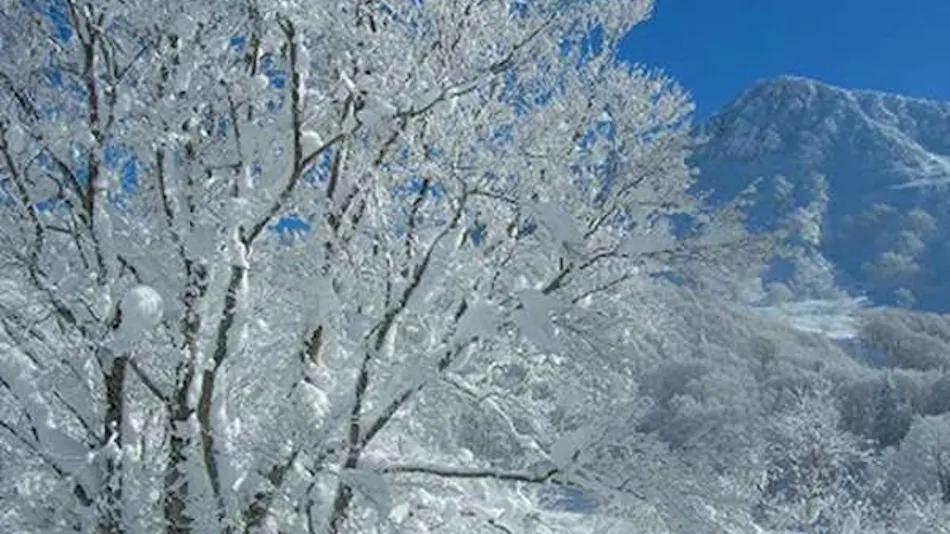 Zao Onsen Matsukane-ya Annex