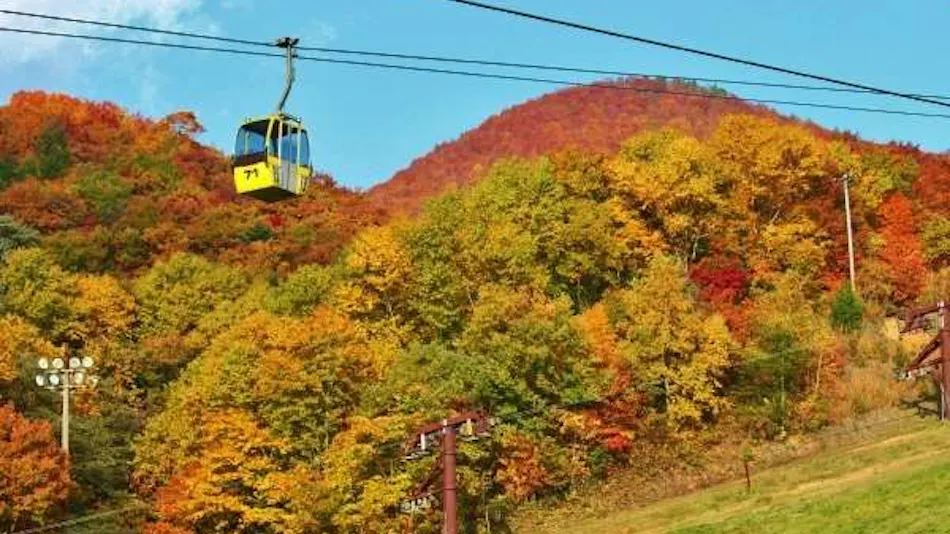 Zao Onsen Matsukane-ya Annex