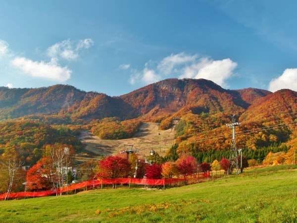 Zao Onsen Matsukane-ya Annex