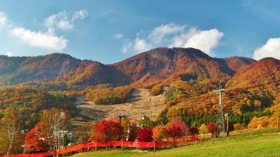 Zao Onsen Matsukane-ya Annex