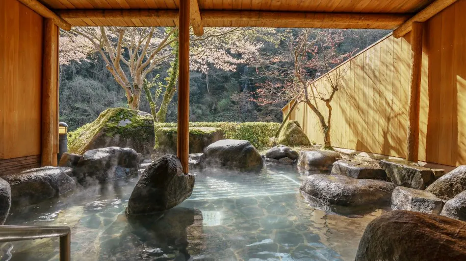 Iwami no Yu Mimata Onsen Nagomi Yuyado Kanagi