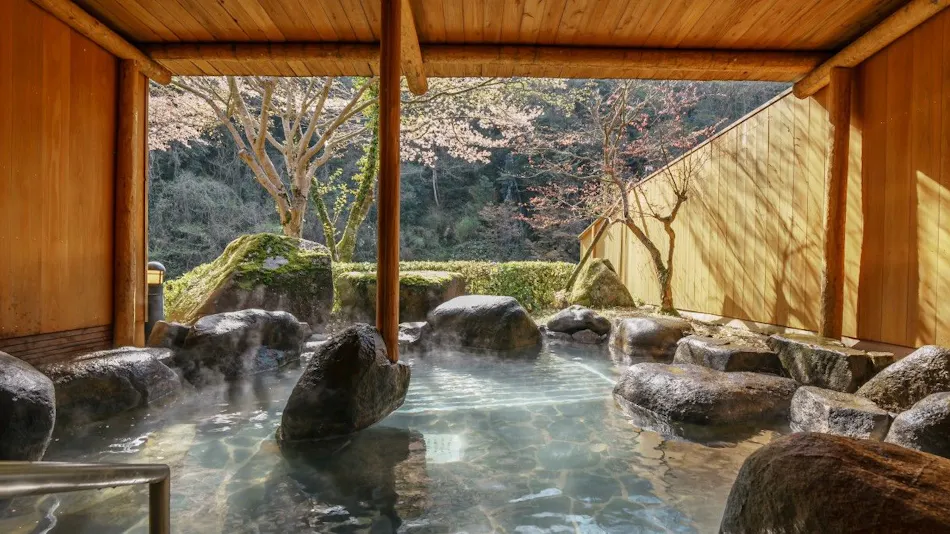 Iwami no Yu Mimata Onsen Nagomi Yuyado Kanagi