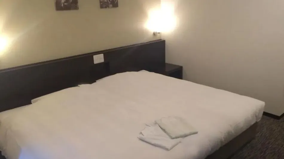 Business Hotel Sunpu