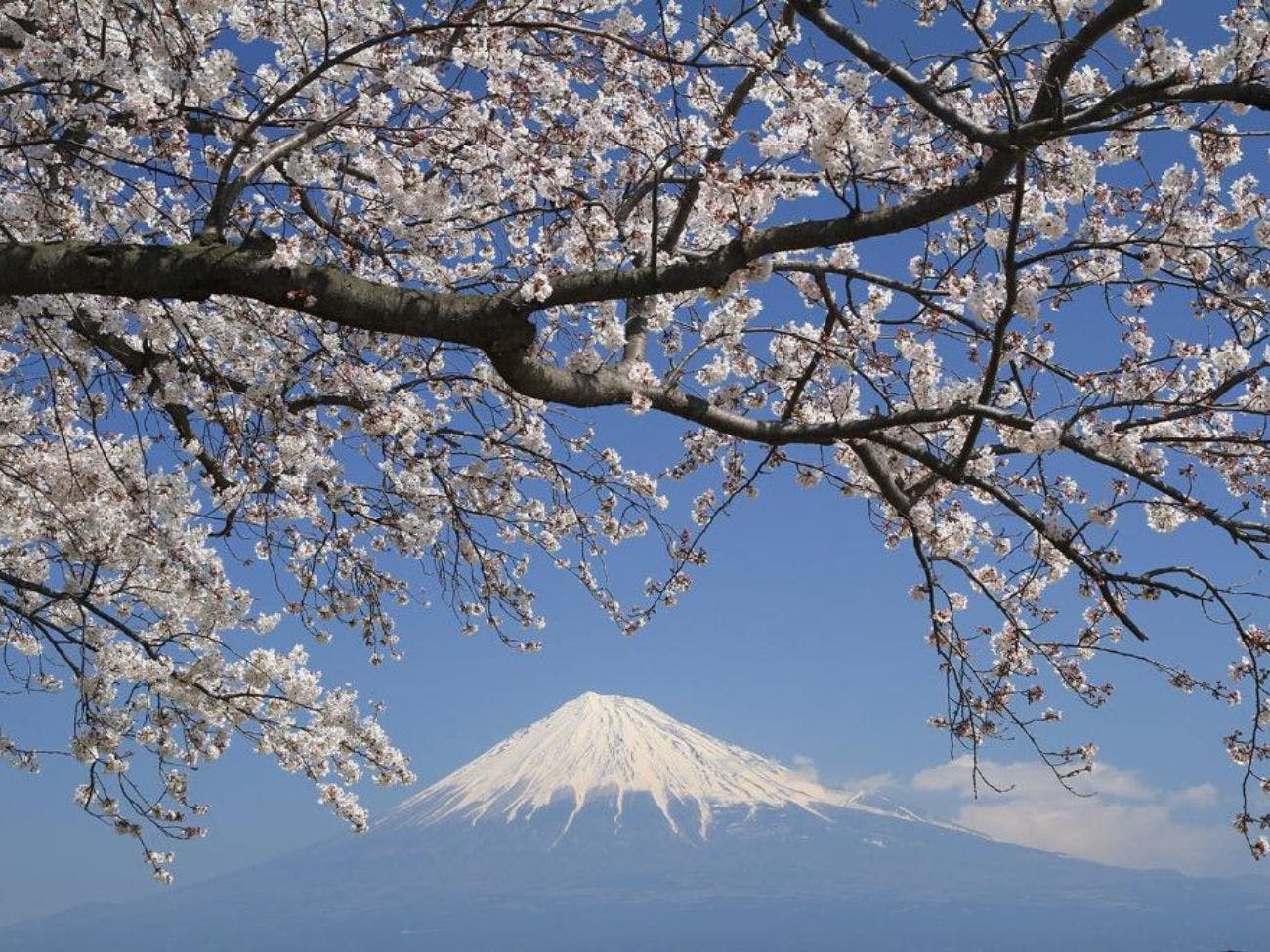 ทิวทัศน์