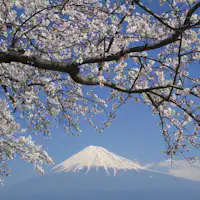 ทิวทัศน์