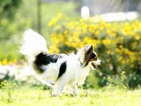 貸別荘　ネイチャービレッジ諏訪塩嶺