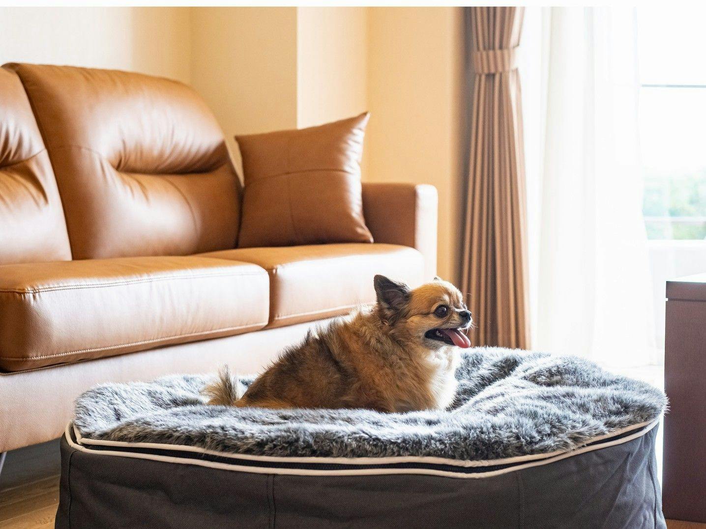 ウィンダムガーデン長泉