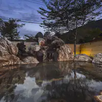 【อ่างอาบน้ำกลางแจ้งขนาดใหญ่】ดอกฟูจิ