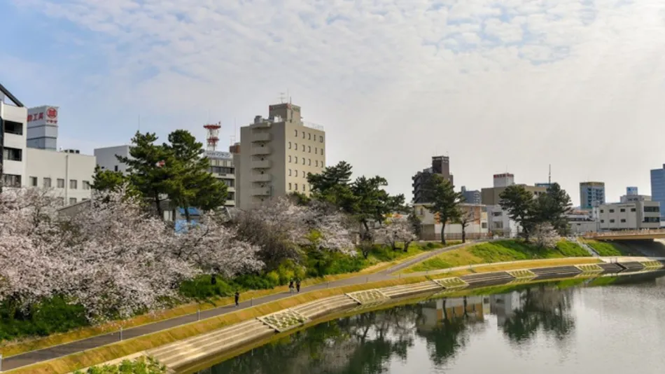 Okazaki Daiichi Hotel East Wing