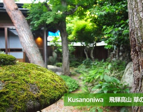 草の庭　庭の緑が心を癒してくれます。