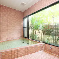 - Mata air panas Ashiyasu -