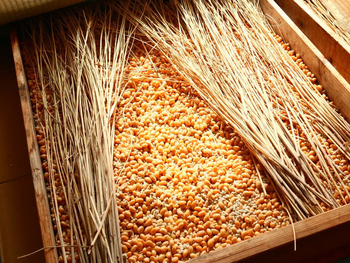Furusato Cuisine Inn Minshuku Ryokan Natori-ya