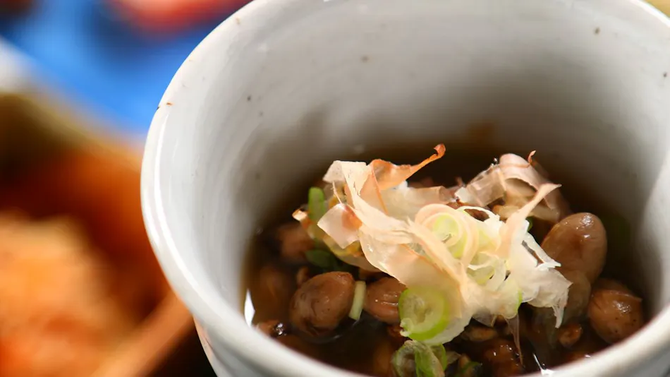 Furusato Cuisine Inn Minshuku Ryokan Natori-ya