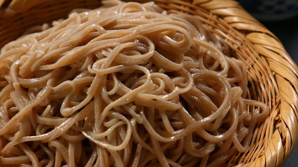 Furusato Cuisine Inn Minshuku Ryokan Natori-ya