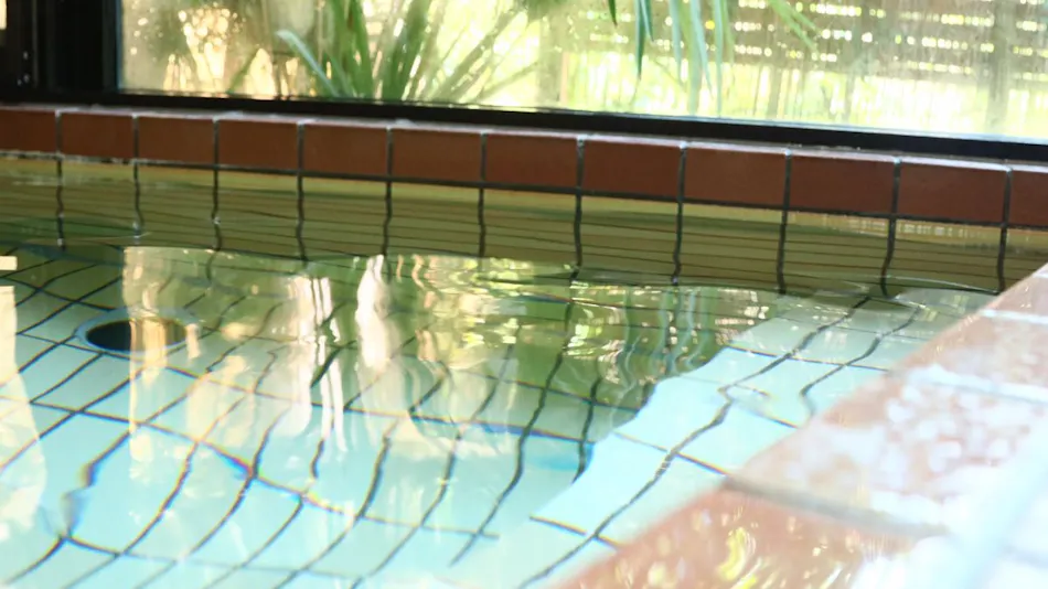 Furusato Cuisine Inn Minshuku Ryokan Natori-ya