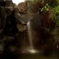 온천
