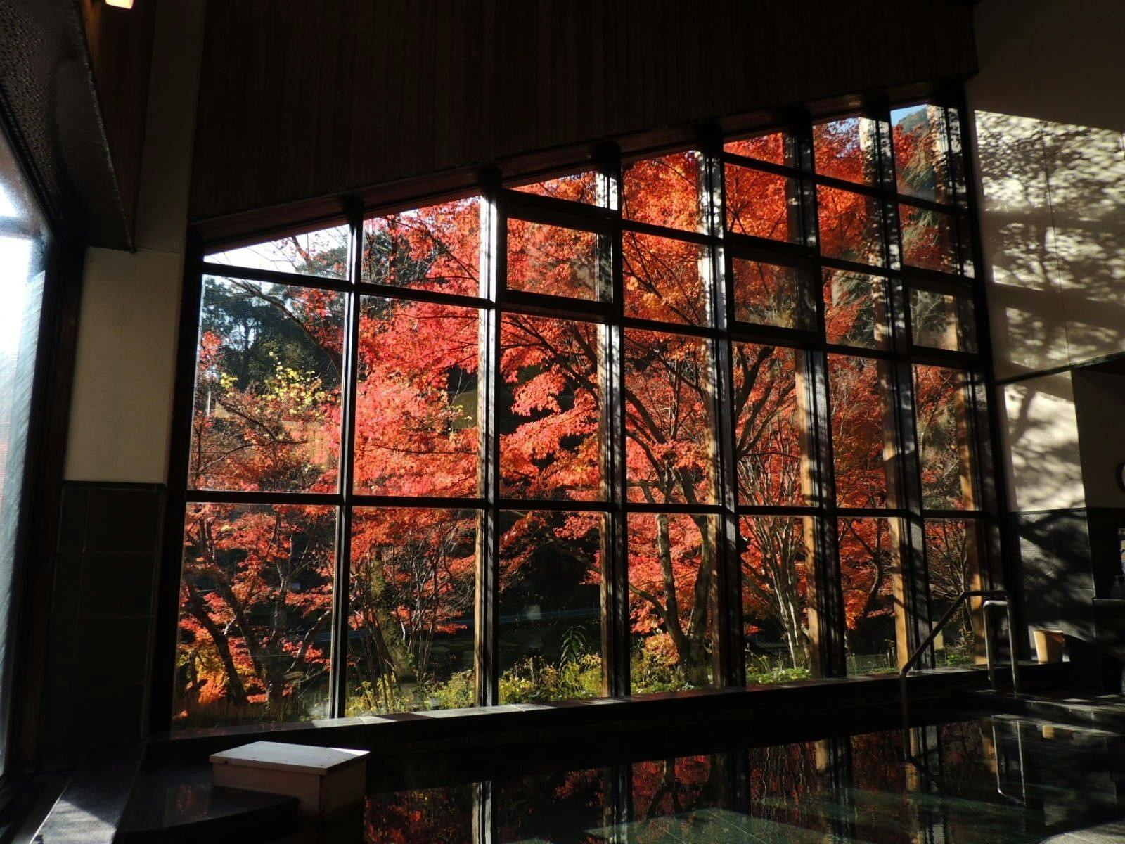 Nakatsu Valley Yunomori