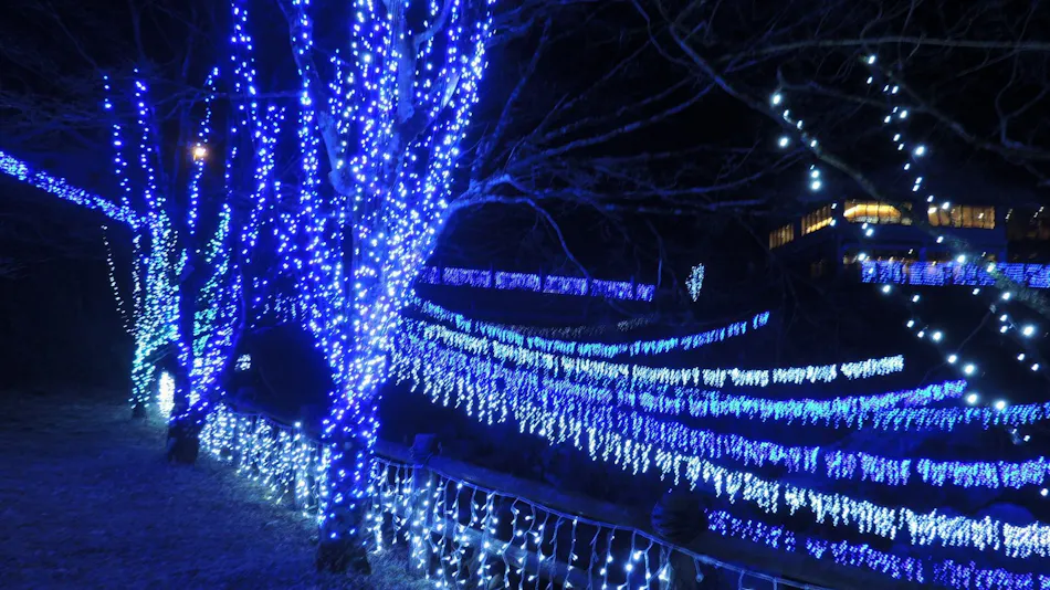 Nakatsu Valley Yunomori