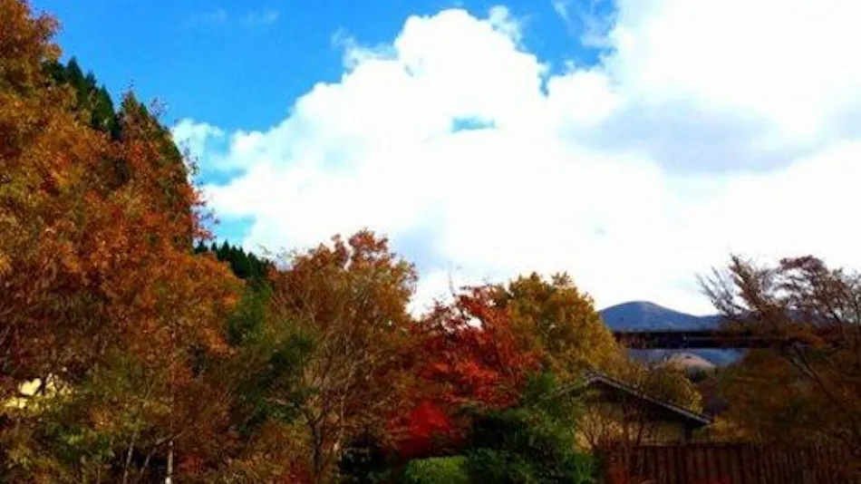 Guardian Circle Onsen