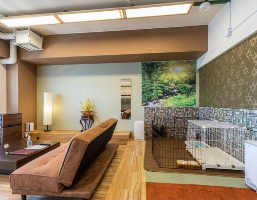 大切なワンちゃんとの想い出に