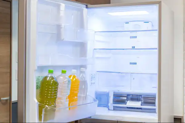 ตู้เย็นและตู้แช่แข็งขนาดใหญ่