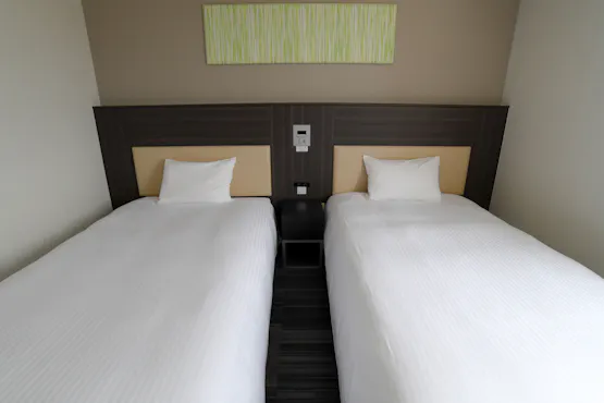 17平方公尺的房間類型,配有兩張床。