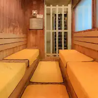 遠紅外線桑拿