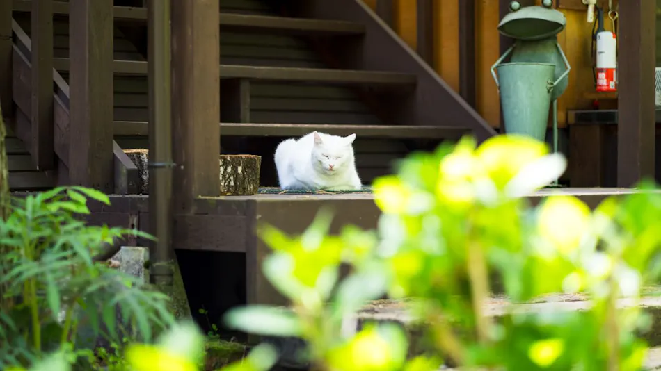 Log Cottage Chausu no Mori