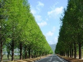 ペンション　カッコーの巣