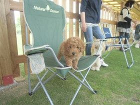 Ｂ＆Ｂ　犬遊楽