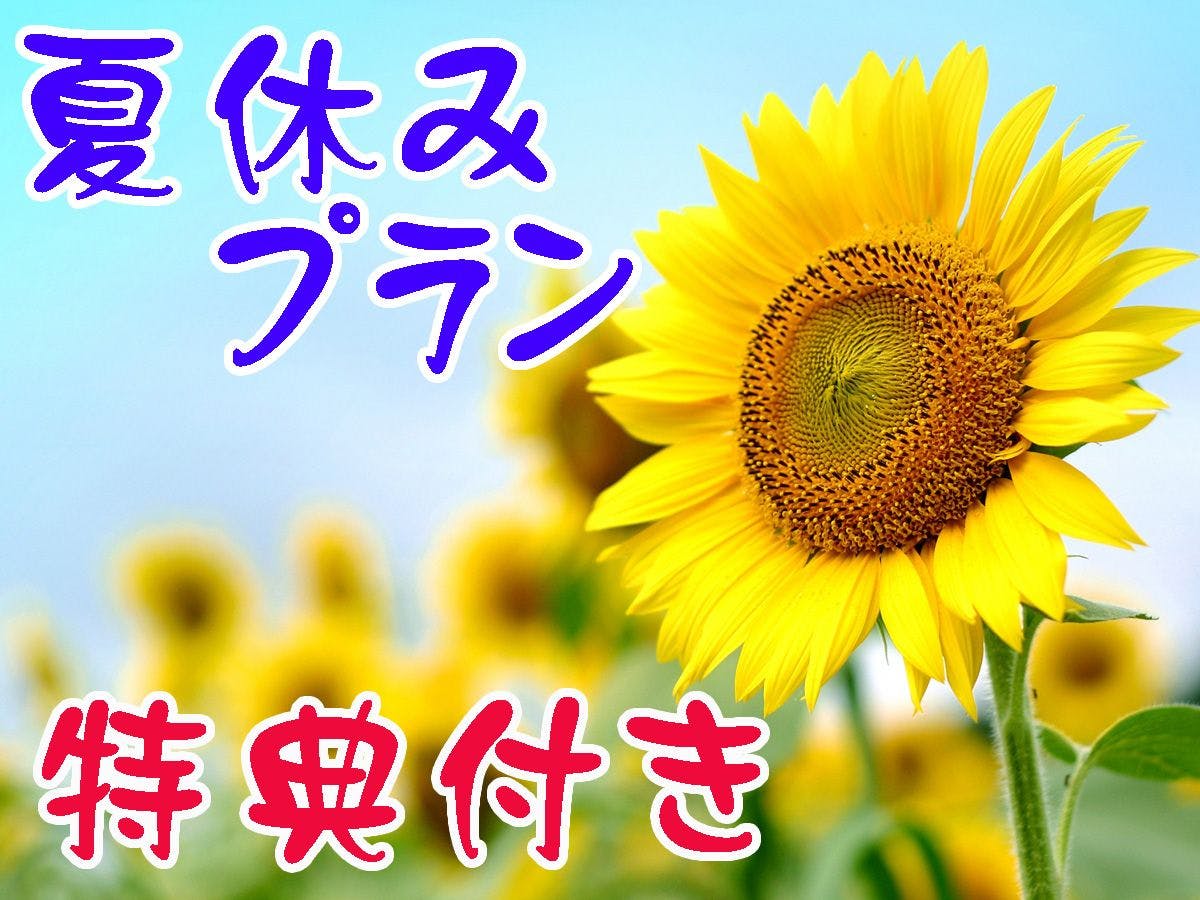 แผนวันหยุดฤดูร้อน*