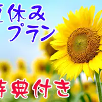 แผนวันหยุดฤดูร้อน*