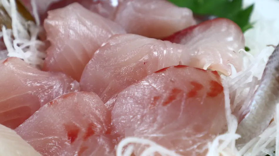 Ise-Shima Koshirahama Beach Live Fish Inn Yutaka