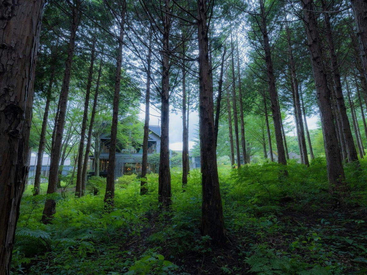Sora no Niwa Petit Hotel