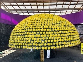 空の庭プチホテル