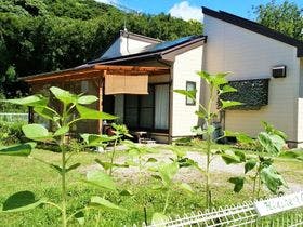 キッチンガーデン