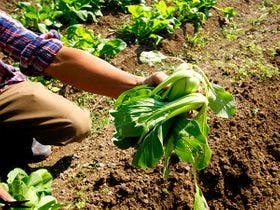 湯治場21　大見山荘