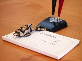 ビジネスホテル人吉