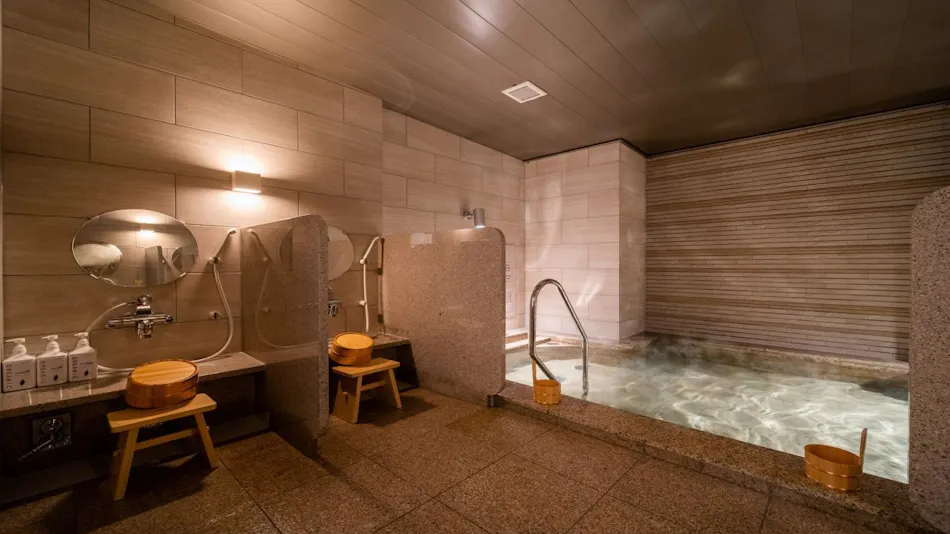 Natural Hot Spring Togo no Yu Super Hotel Higashi-Maizuru