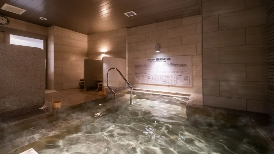 Natural Hot Spring Togo no Yu Super Hotel Higashi-Maizuru