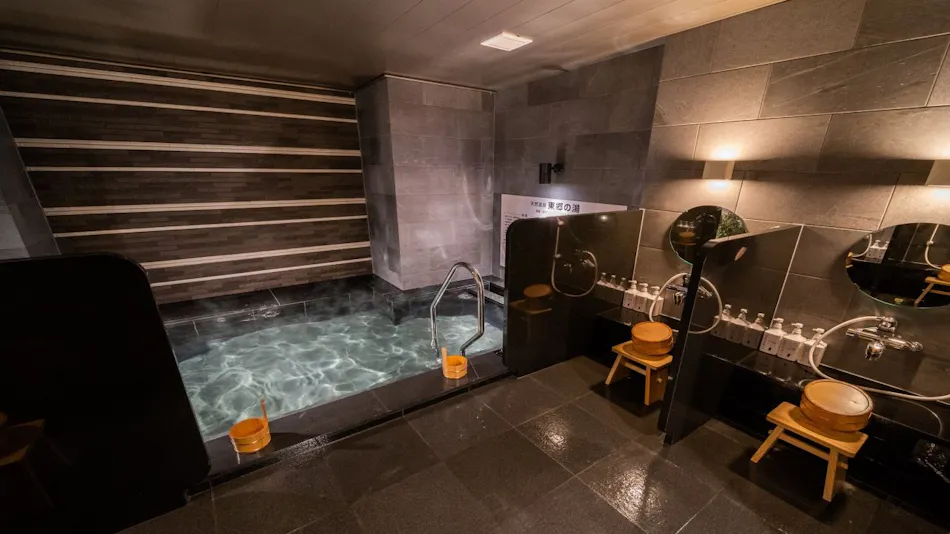 Natural Hot Spring Togo no Yu Super Hotel Higashi-Maizuru