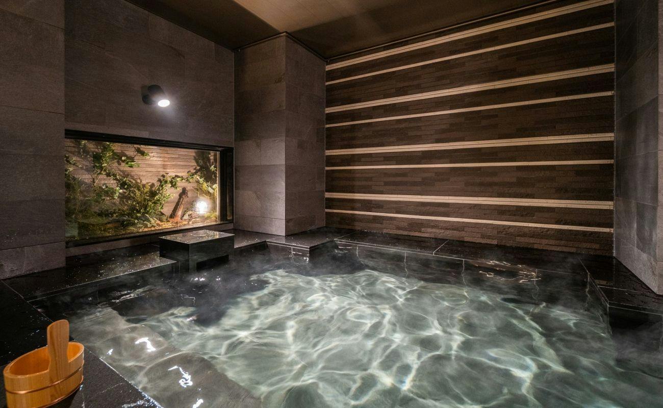 Natural Hot Spring Togo no Yu Super Hotel Higashi-Maizuru